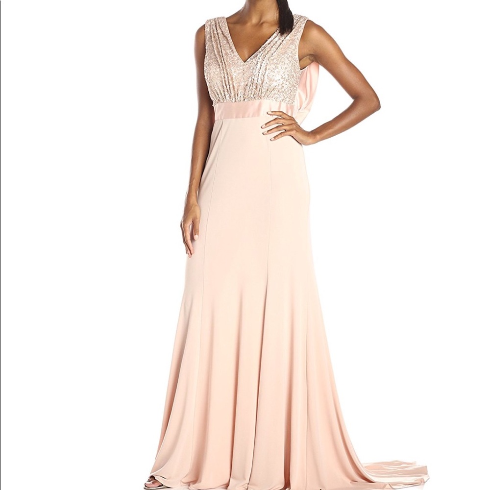 Vera Wang pale pink gown Size 2 NWT
